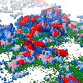 3-D reconstruction of the bacterial biofilm