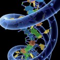 3d-model-DNA