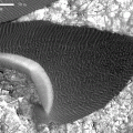 Advancing Dune in Nili Patera, Mars