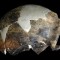 Ancient skull