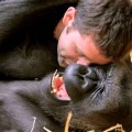 Animals Get Tickled in The Name of Science