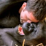 Animals Get Tickled in The Name of Science