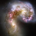 Antennae galaxy shows a multitude of bright young stellar clusters