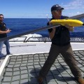 Australia Stops Sea Shepherd Drones