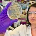 Berkeley Lab-led team explores a way to create biofuels