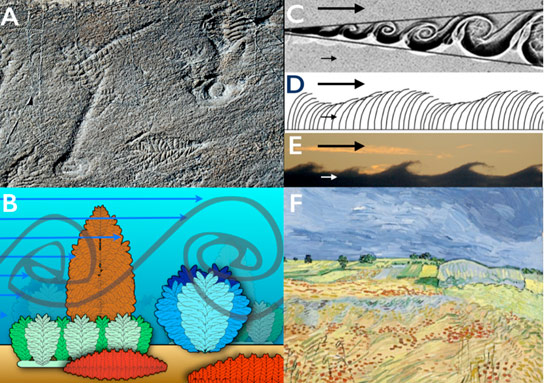 Biologists Reveal Why Early Life Began to Get Larger in Earths Oceans
