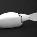 Biomimetic Robotic Fish
