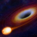Black holes feed on stars