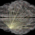 Brain imaging can predict how intelligent you are