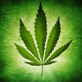 Cannabis Reduces Some Symptoms of Multiple Sclerosis