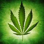 Cannabis Reduces Some Symptoms of Multiple Sclerosis