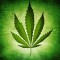 Cannabis Reduces Some Symptoms of Multiple Sclerosis