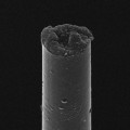 Carbon Microthread That Makes Contact with the Mind