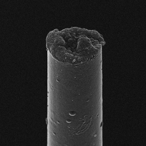 Carbon Microthread That Makes Contact with the Mind