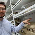 Change in developmental timing was crucial in evolutionary shift from dinosaurs to birds