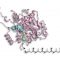 Chemists Discover Structure of Bacterial Enzyme That Generates Useful Polymers