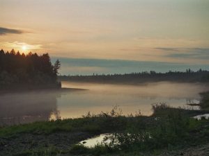 Climate Change Threatens Dark Taiga