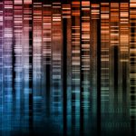 DNA Research of Science
