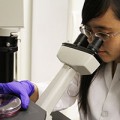 DNA nanostructures to make safer and more effective vaccines