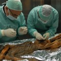 DNA-sampling-iceman