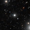 Dark galaxies spotted for the first time