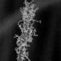 Decoration with nanoparticles creates intricate surface patterns
