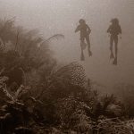 Detecting Detrimental Change in Coral Reefs