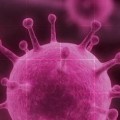 Diagnostics for viruses closer to reality
