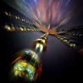 Each antineutrino detector at Daya Bay is lined with photomultiplier tubes
