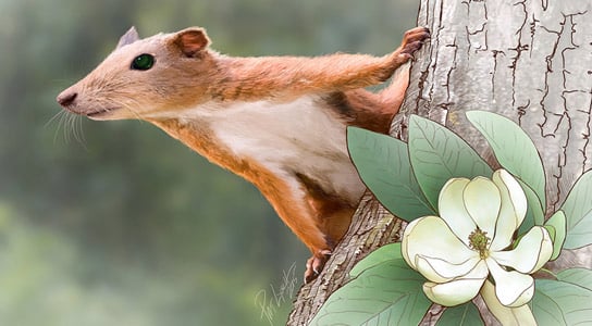 Earth’s Earliest Primates Lived in Trees