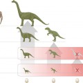 Egg-laying the end for dinosaurs