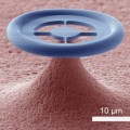 Electron microscopy image of the glass donut
