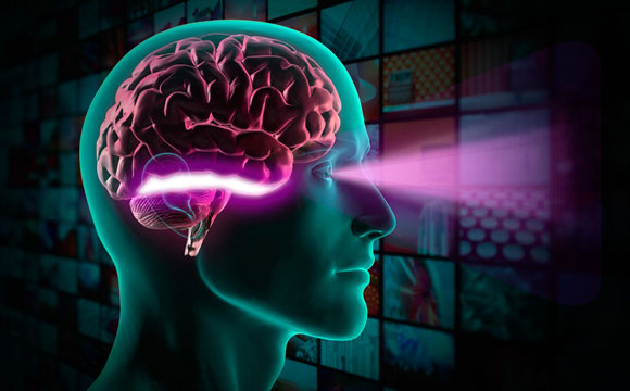 New Evidence That the Brain’s Inferotemporal Cortex Can Identify Objects