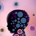 Evidence of Link between Immune Irregularities and Autism