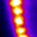 Excitons self organize into an ordered array