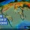 Eye-Popping View of CO2, Critical Step for Carbon-Cycle Science