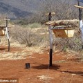 Fence Beehive