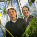 How does climate change cause extinction