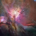 Hubble image of a region of the Orion Nebula