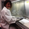 Immune cells may improve control of HIV growth