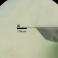 Iron-based high-temp superconductors show unexpected electronic asymmetry