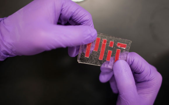 New Hydrogel Hybrid Could Be Used To Make Artificial Skin