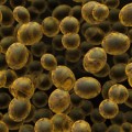 Mechanics of Cellular Wound Healing