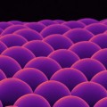 Microscopic lenses made of calcium