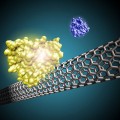 Nanotube sensor