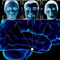 Neuroscientists Predict Which Parts of the Fusiform Gyrus are Face-Selective