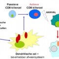 New HIV-vaccine tested on people
