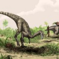 Nyasasaurus