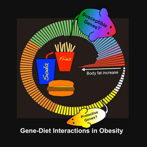 Obesity_and_Genetics