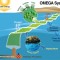 Offshore Membrane Enclosures for Growing Algae